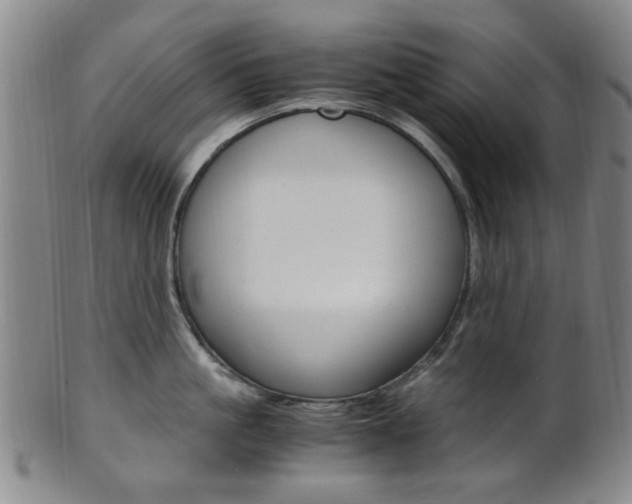 X0000101660861200807101023