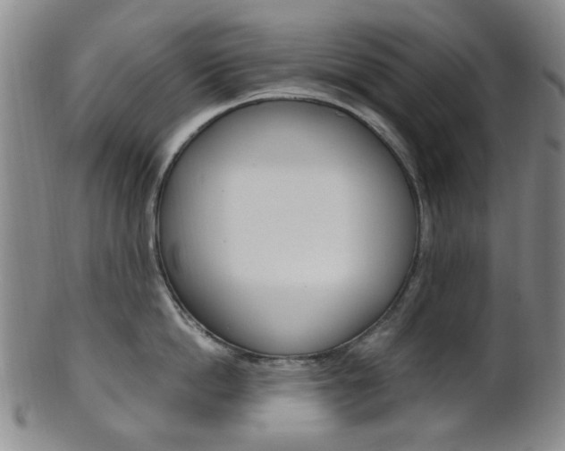 X0000101660862200807101023