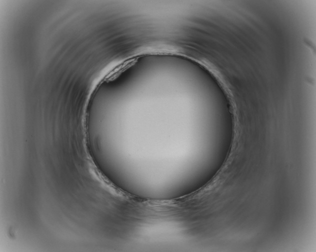 X0000101660864200807101023