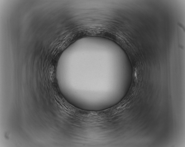 X0000101660867200807101023