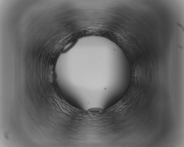 X0000101660868200807101023