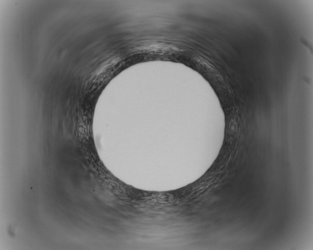 X0000101660869200807101023
