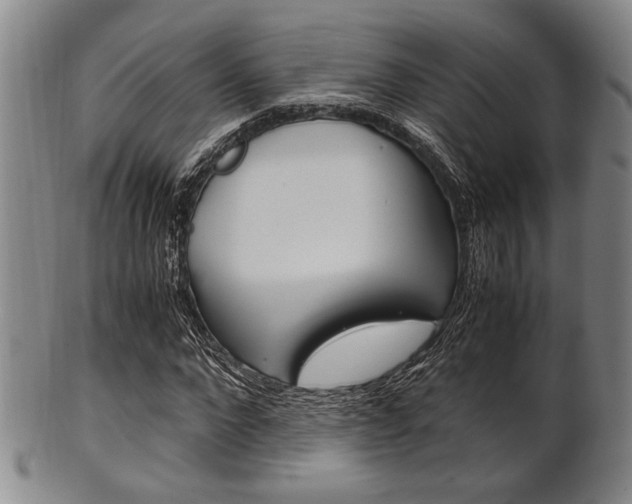 X0000101660872200807101023