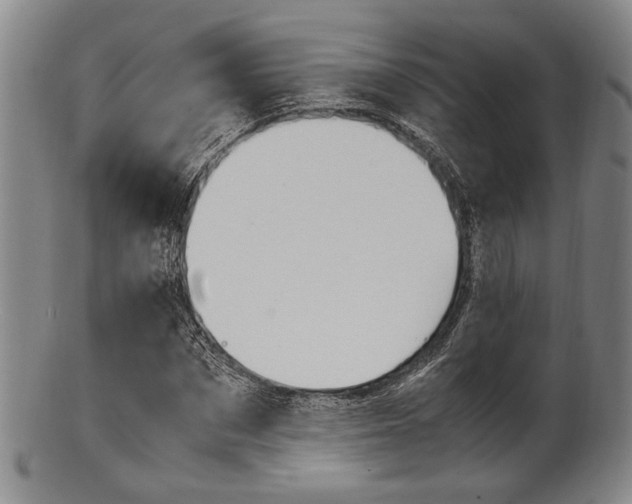 X0000101660873200807101022