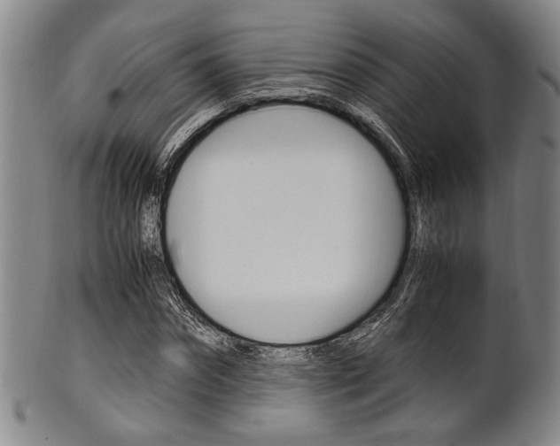 X0000101660874200807101022