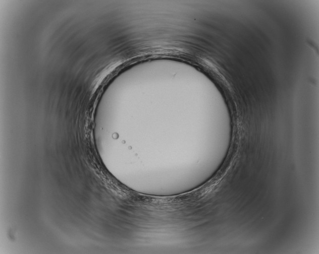 X0000101660875200807101022