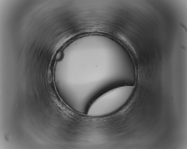 X0000101660876200807101022