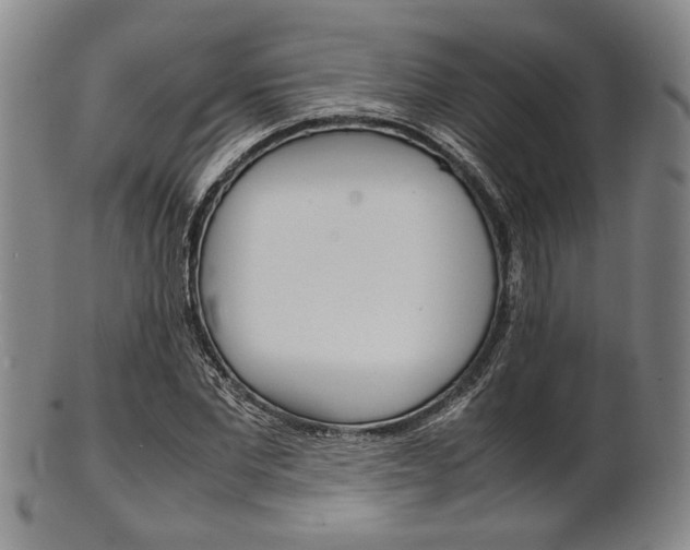 X0000101660877200807101022