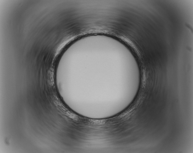 X0000101660878200807101022