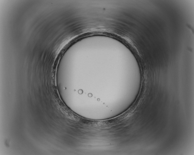 X0000101660879200807101022