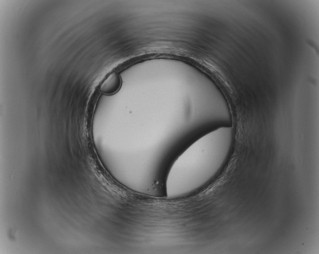 X0000101660880200807101022