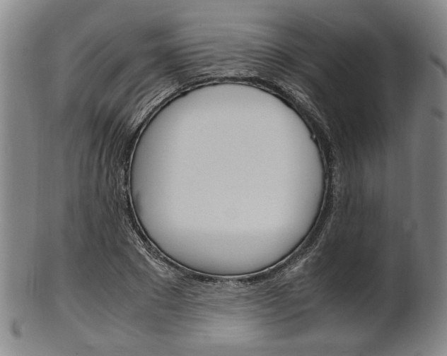 X0000101660881200807101022