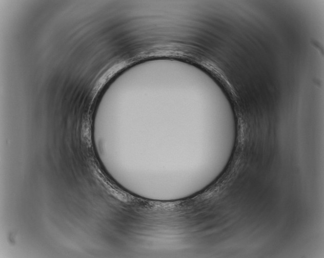 X0000101660882200807101022