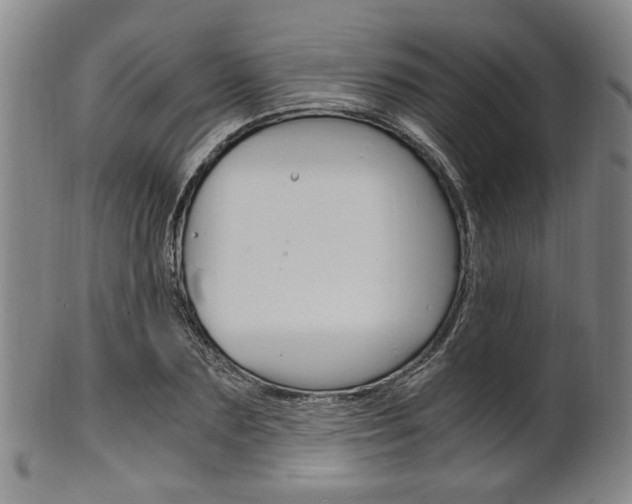 X0000101660883200807101022