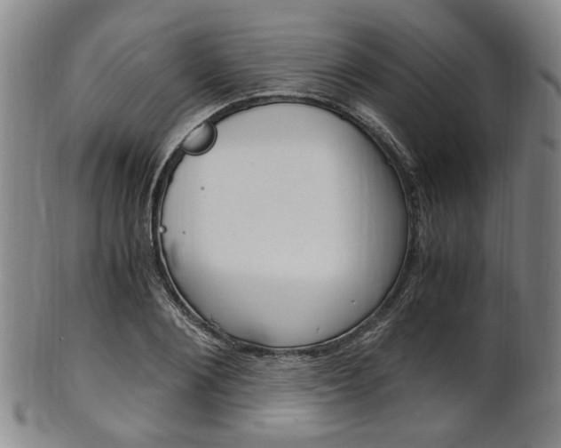 X0000101660884200807101022