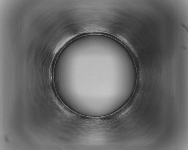 X0000101660885200807101022