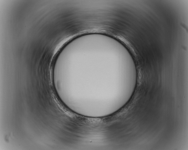 X0000101660886200807101022