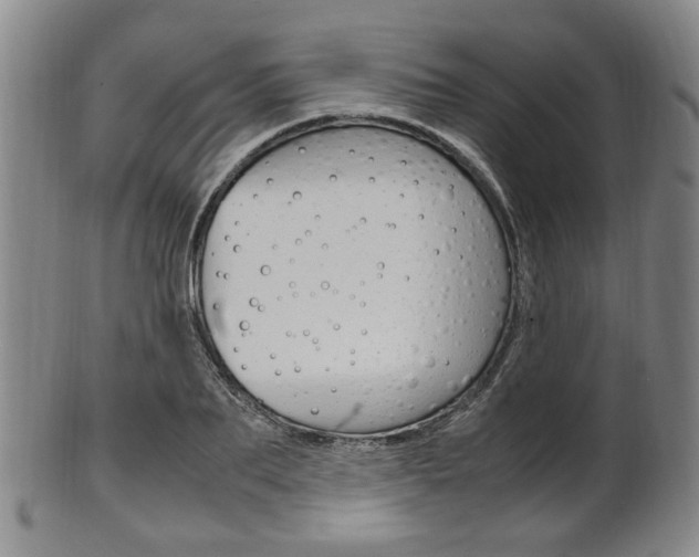 X0000101660887200807101022