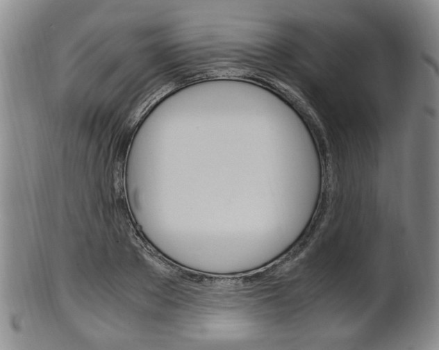 X0000101660889200807101022