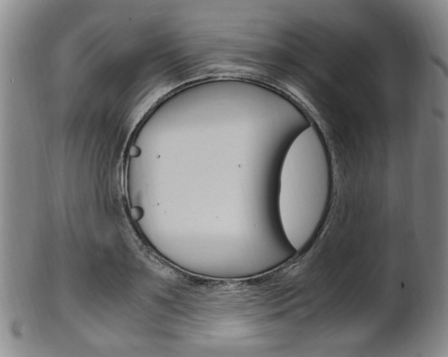 X0000101660891200807101022