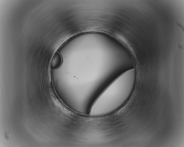 X0000101660892200807101022