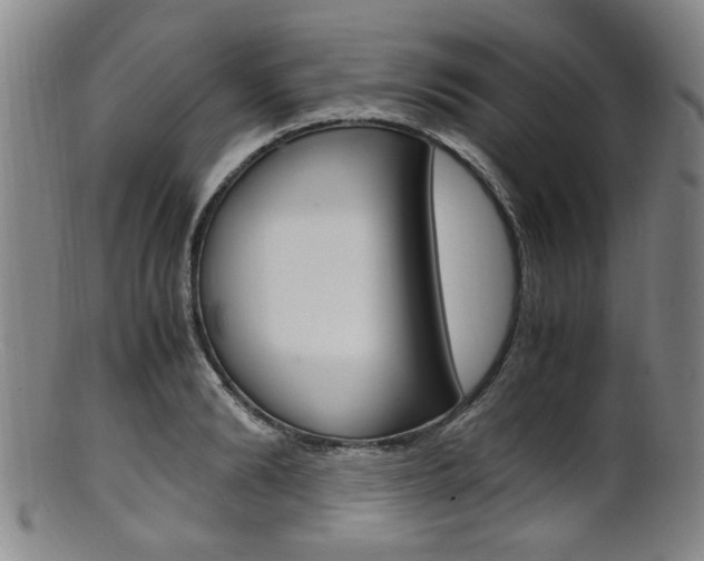X0000101660894200807101022