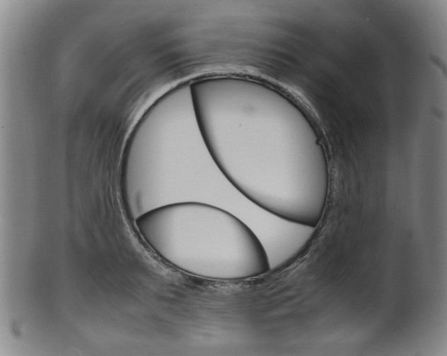 X0000101660895200807101022