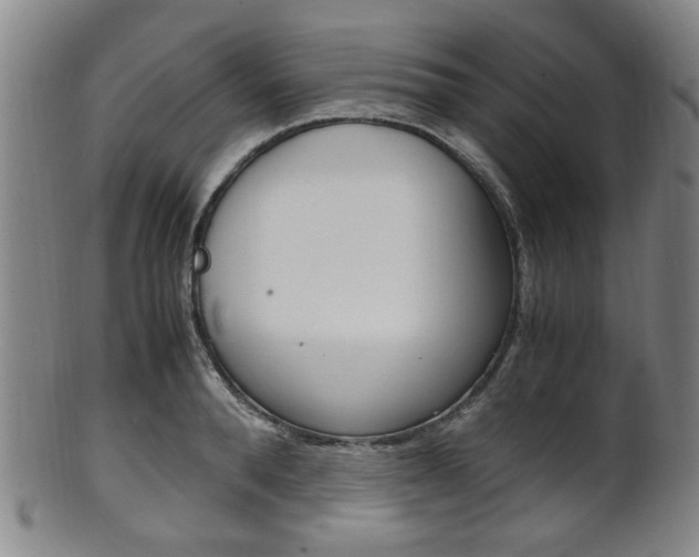 X0000101660896200807101022