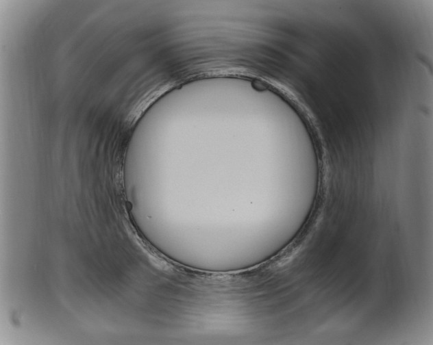 X0000101660897200807101022