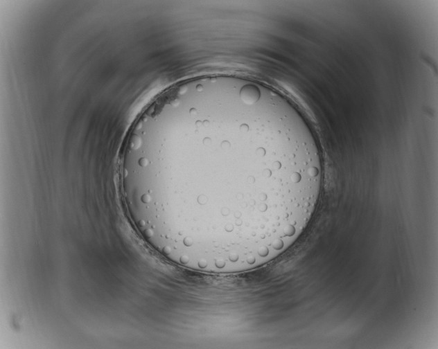 X0000101660899200807101022