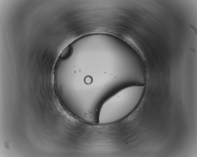 X0000101660900200807101022