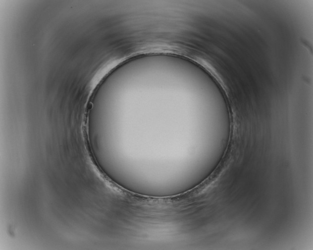 X0000101660901200807101022