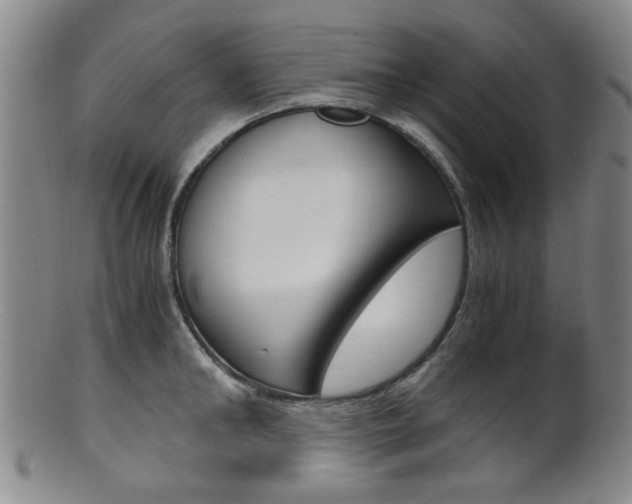 X0000101660902200807101022
