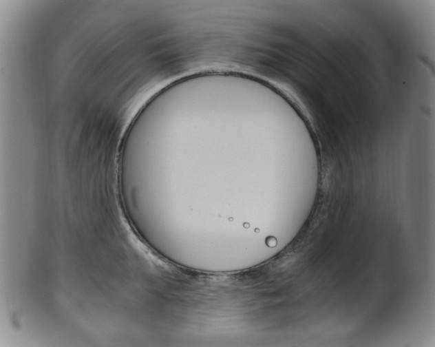 X0000101660903200807101022