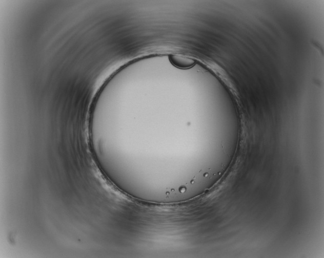 X0000101660904200807101022