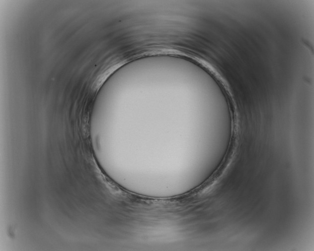 X0000101660905200807101022