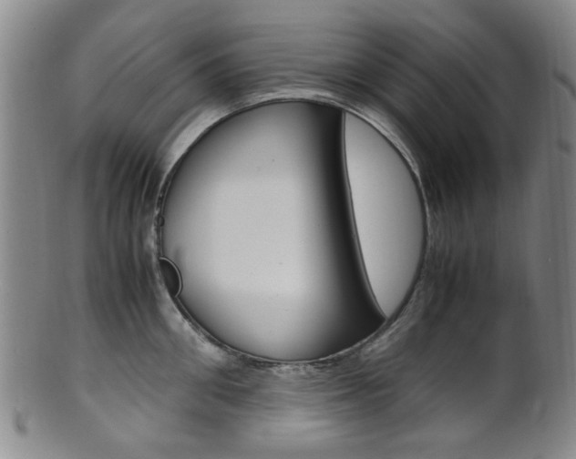 X0000101660906200807101022