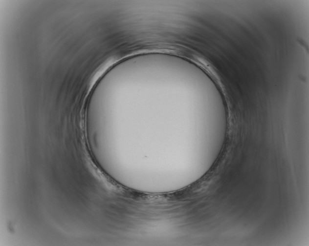 X0000101660907200807101022
