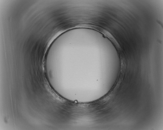 X0000101660908200807101022