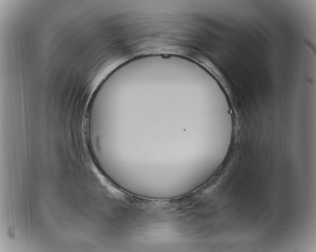 X0000101660909200807101022