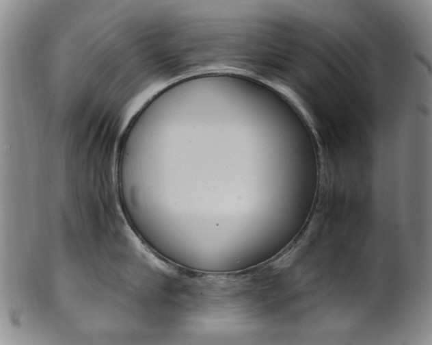 X0000101660910200807101022