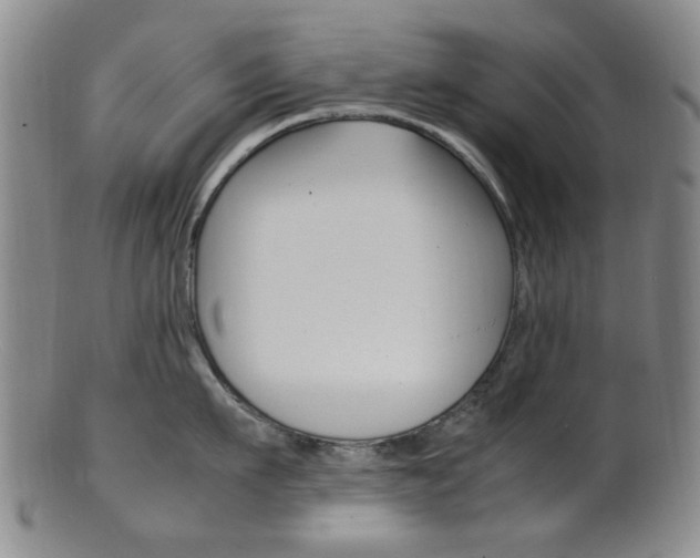 X0000101660911200807101022