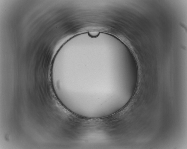 X0000101660912200807101022