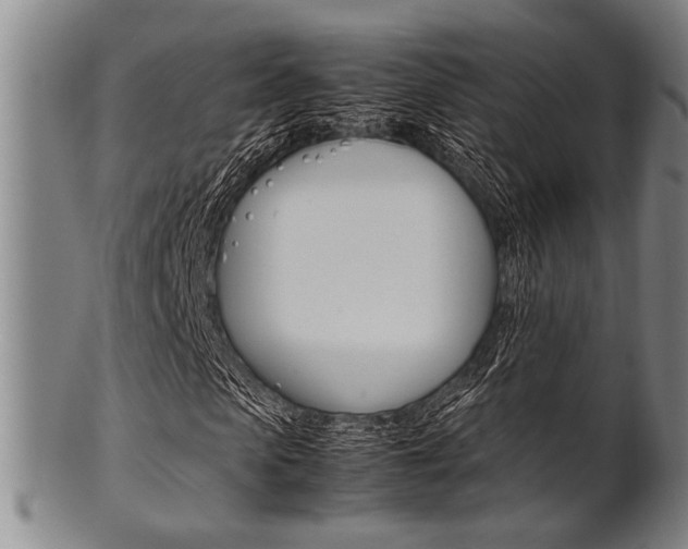 X0000101660913200807101021