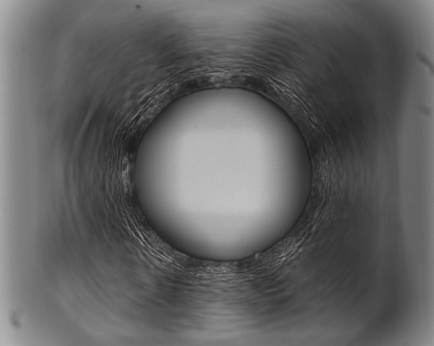 X0000101660914200807101021