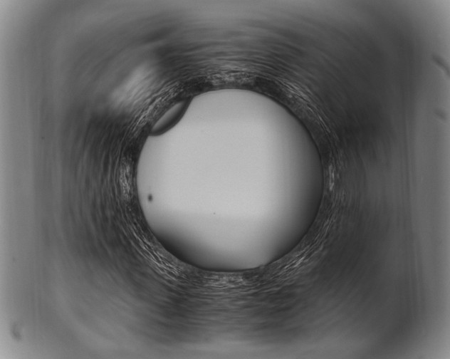 X0000101660915200807101021