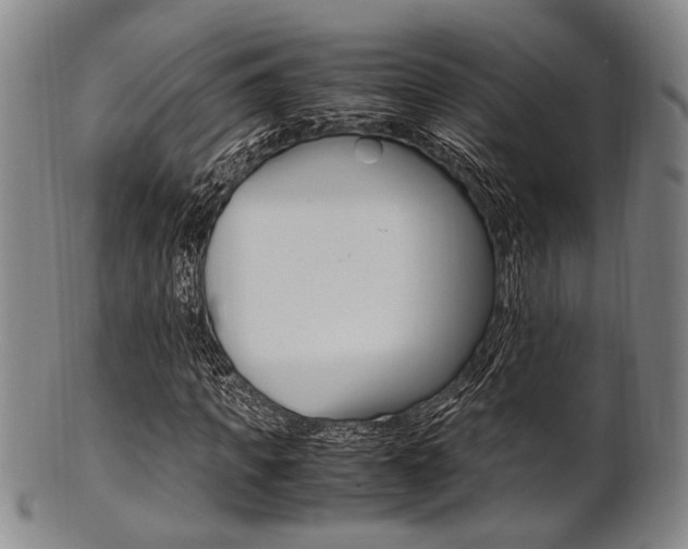 X0000101660917200807101021