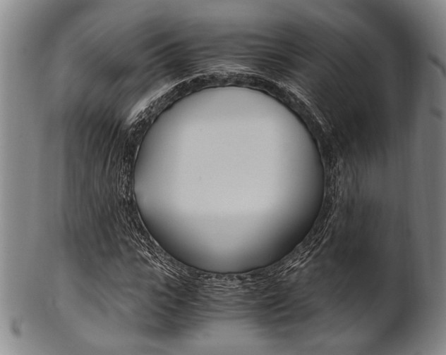 X0000101660919200807101021