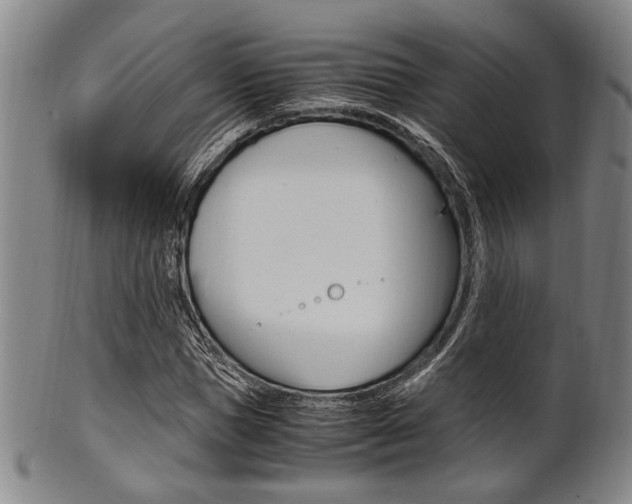 X0000101660921200807101021
