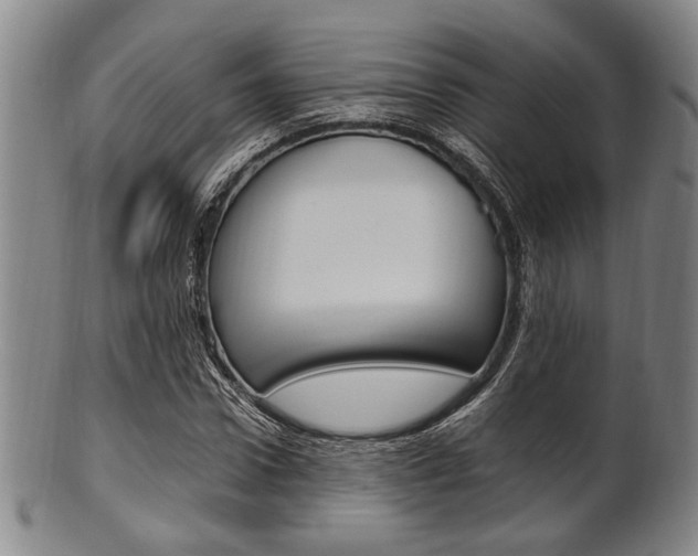 X0000101660922200807101021
